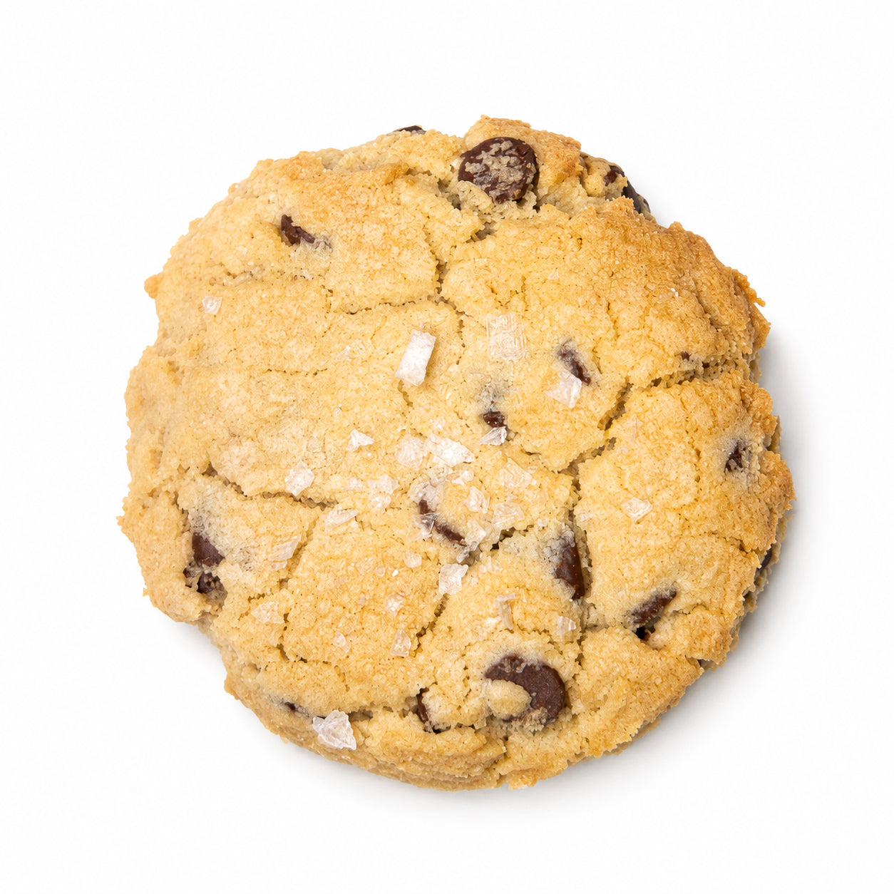 Salted Chocolate Chip Cookie